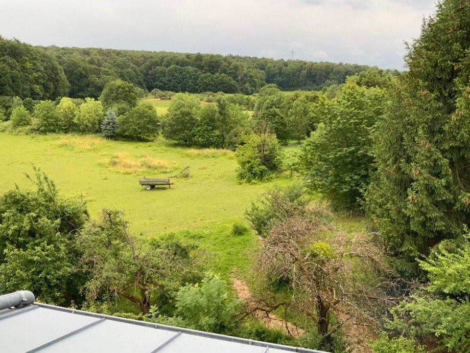 Aussicht Dachgeschosswohnung Mosbach