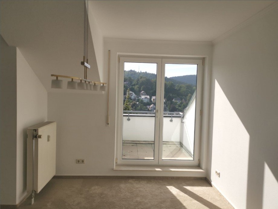 Zugang kleiner Balkon Dachgeschosswohnung Neckargem�nd