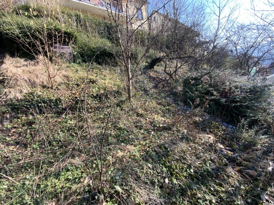 Garten Mehrfamilienhaus Heidelberg / Ziegelhausen