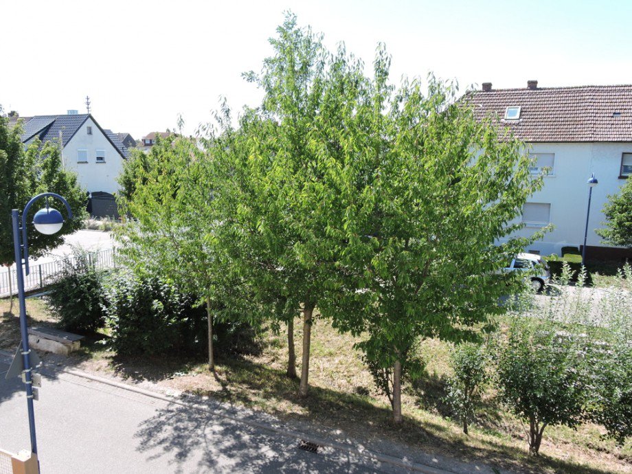 Umgebung Doppelhaush�lfte Bad Sch�nborn