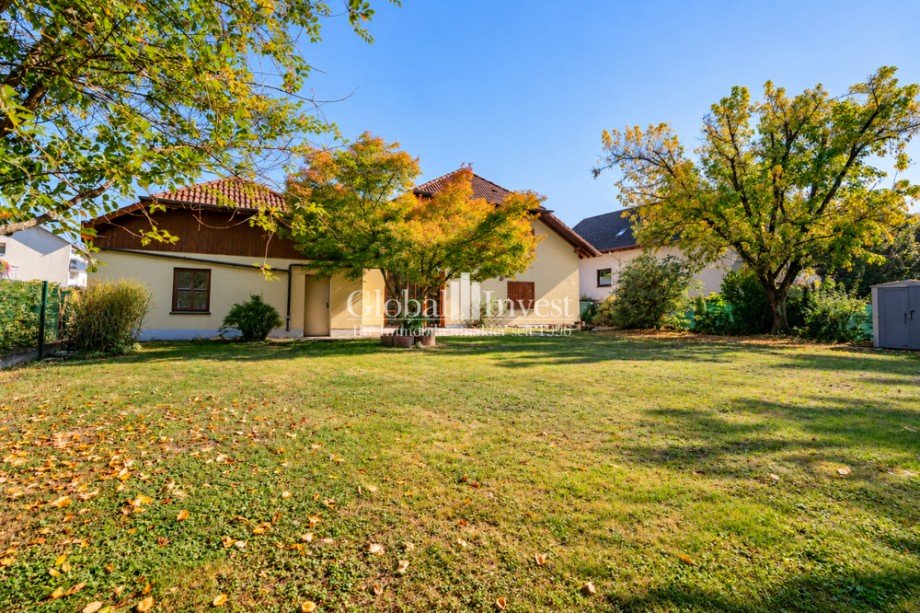 Gartenaufnahme Einfamilienhaus Mauer