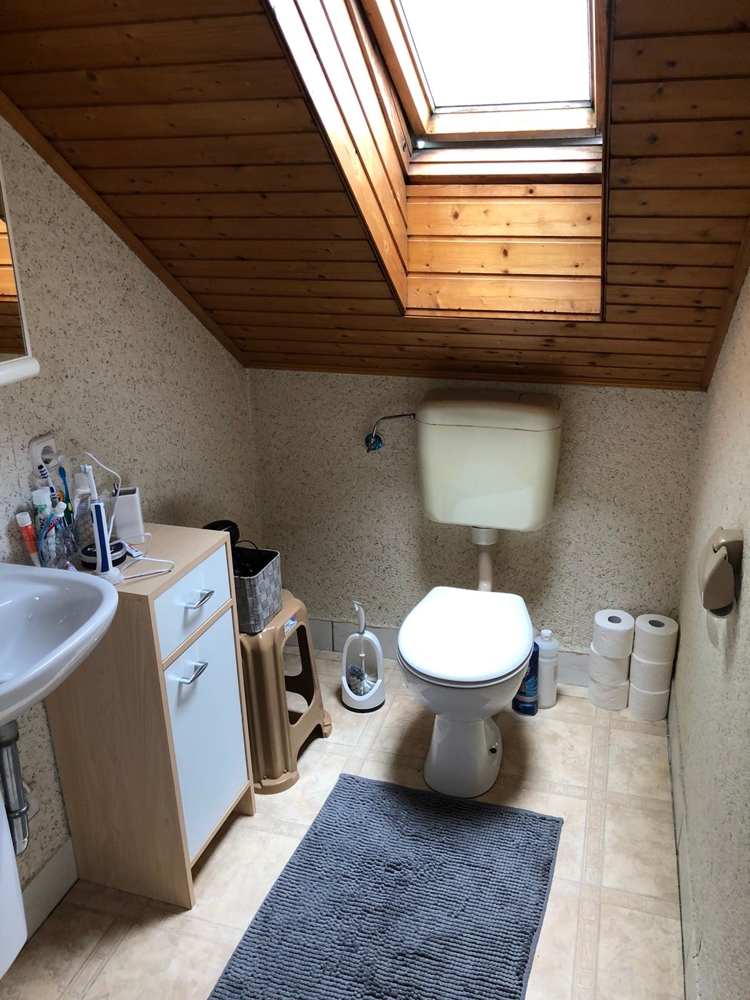 WC-Dachgescho� Einfamilienhaus Sinsheim