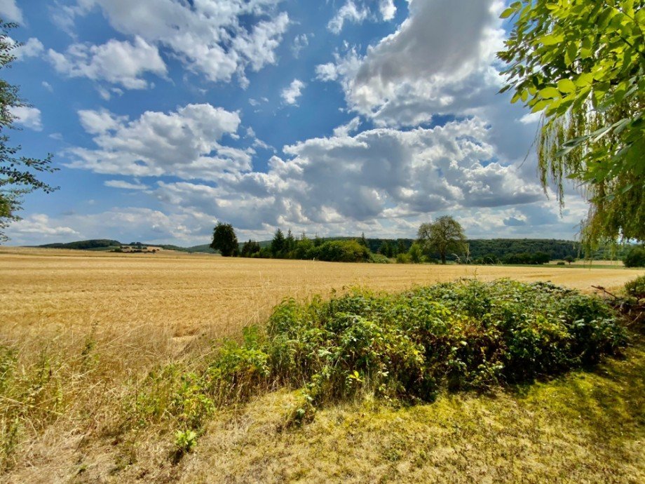Aussicht Terrasse Einfamilienhaus Sinsheim / Rohrbach