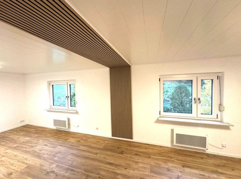 Wohnzimmer Heidelberg / Ziegelhausen Etagenwohnung GLOBAL INVEST SINSHEIM | Erstbezug nach umfassender Sanierung - 2,5-Zimmer-Wohnung in Ziegelhausen
