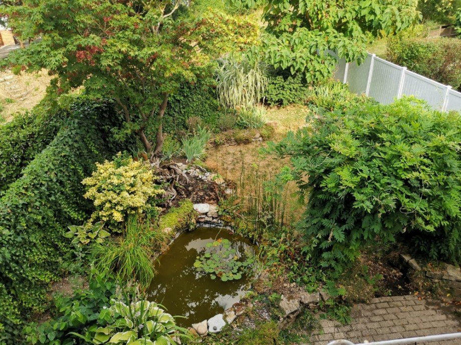 Garten Doppelhaush�lfte Gundelsheim