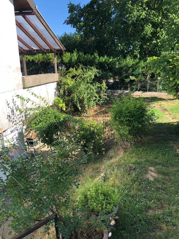 Garten vorne.png Einfamilienhaus Dielheim
