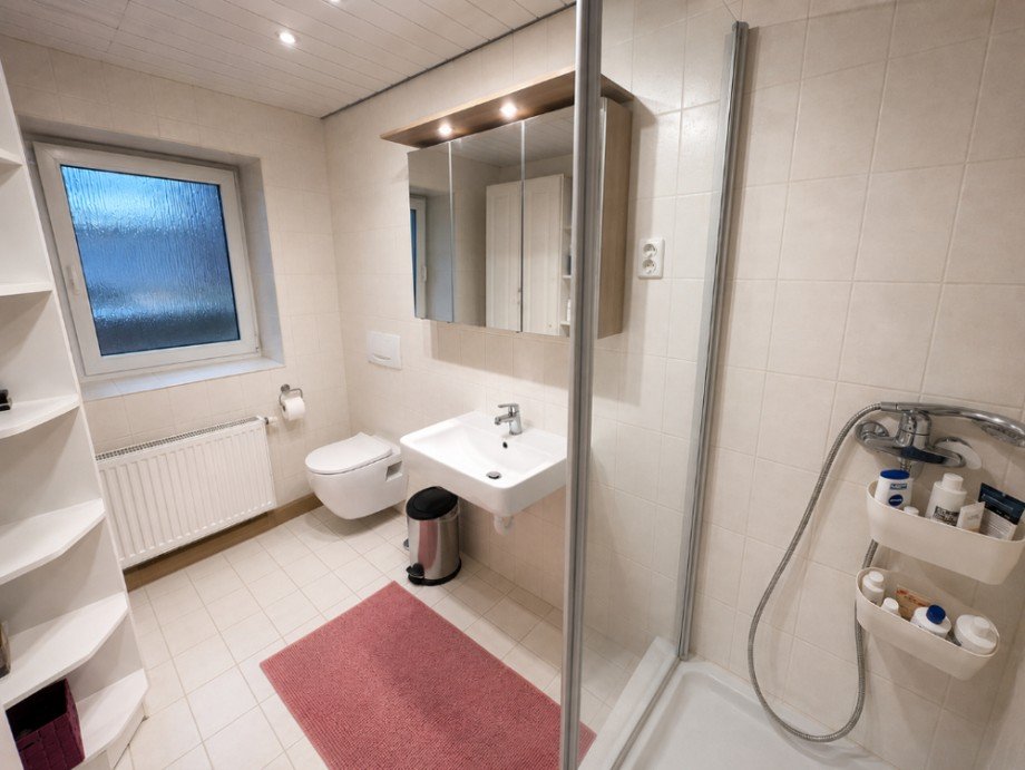 Badezimmer ELW Einfamilienhaus Sinsheim / Waldangelloch