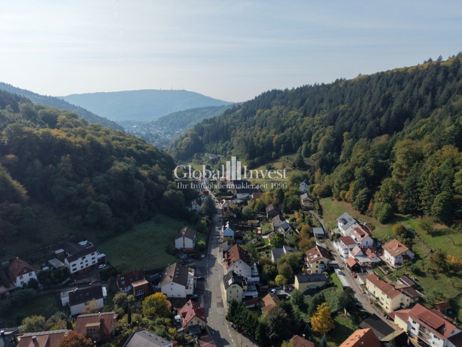 Ausblick Etagenwohnung Heidelberg / Ziegelhausen