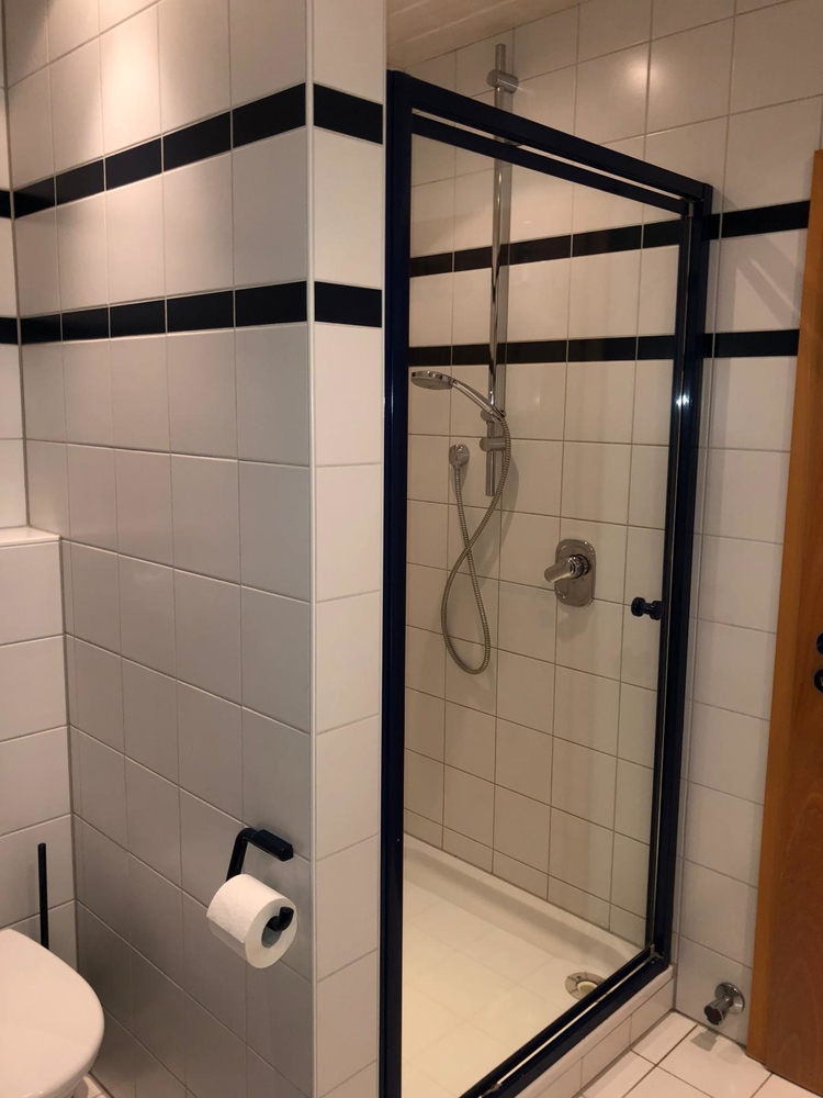 Duschbad Dachgeschosswohnung Waibstadt / Daisbach