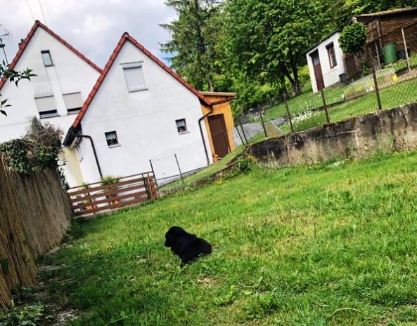 Gartenansicht Doppelhaush�lfte Elztal / Dallau