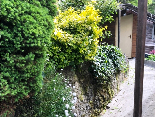 Terrasse Doppelhaush�lfte Elztal / Dallau