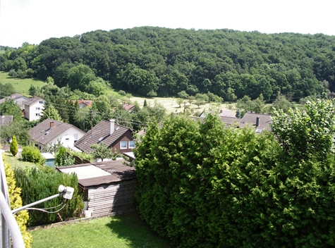 Aussicht Maisonettewohnung Sinsheim