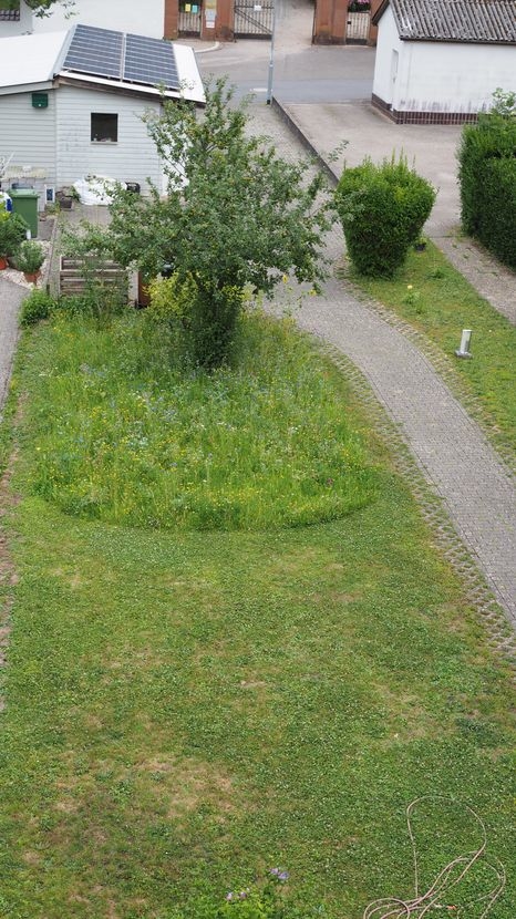 Garten m. Blumenwiese.png Doppelhaush�lfte Neckargem�nd