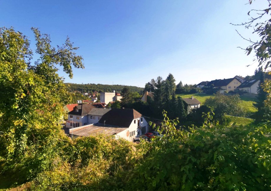 Aussicht Einfamilienhaus Billigheim