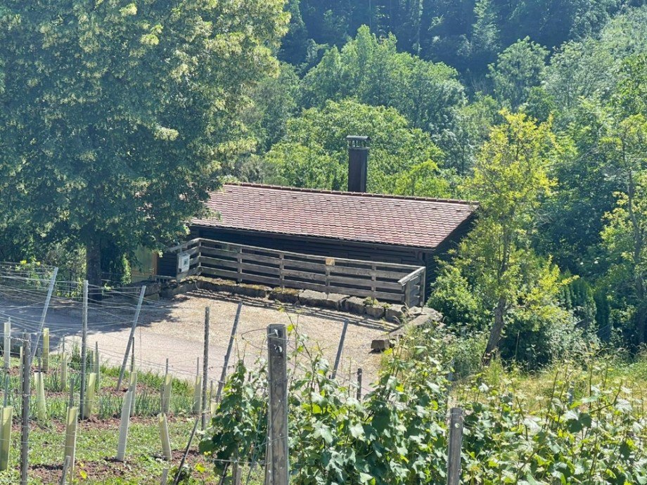 Ansicht Ferienhaus Bretzfeld / Geddelsbach
