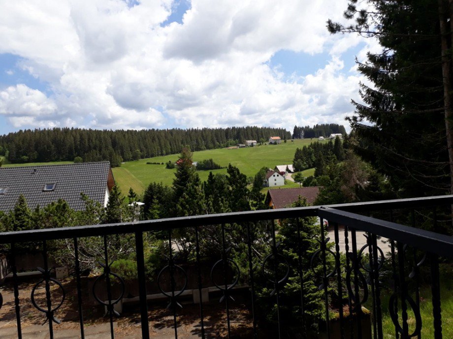 Ausblick Erdgeschosswohnung Sch�nwald im Schwarzwald
