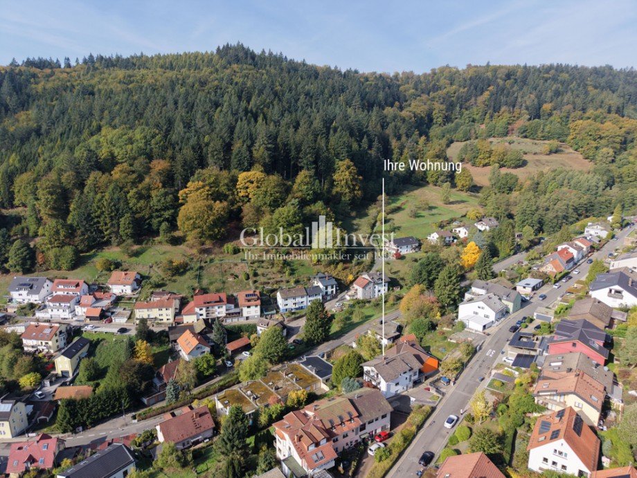 Luftaufnahme Etagenwohnung Heidelberg / Ziegelhausen