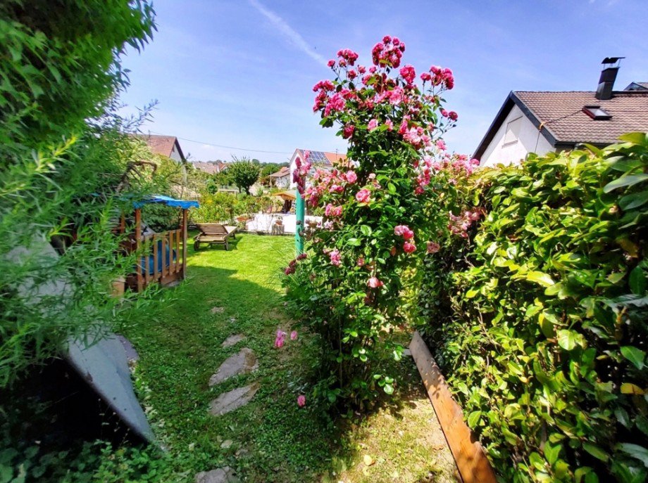 Garten Doppelhaush�lfte Sinsheim / Hoffenheim