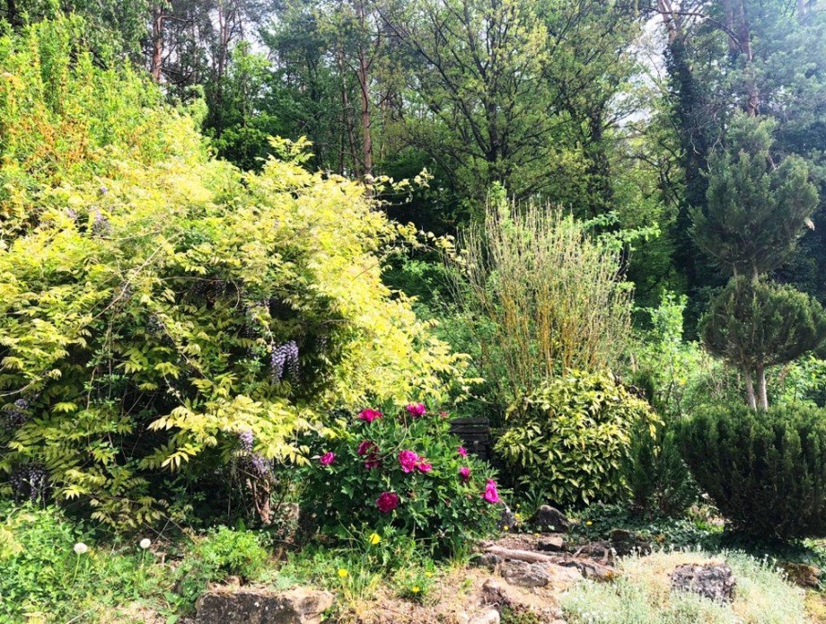 Garten Doppelhaush�lfte Elztal / Dallau