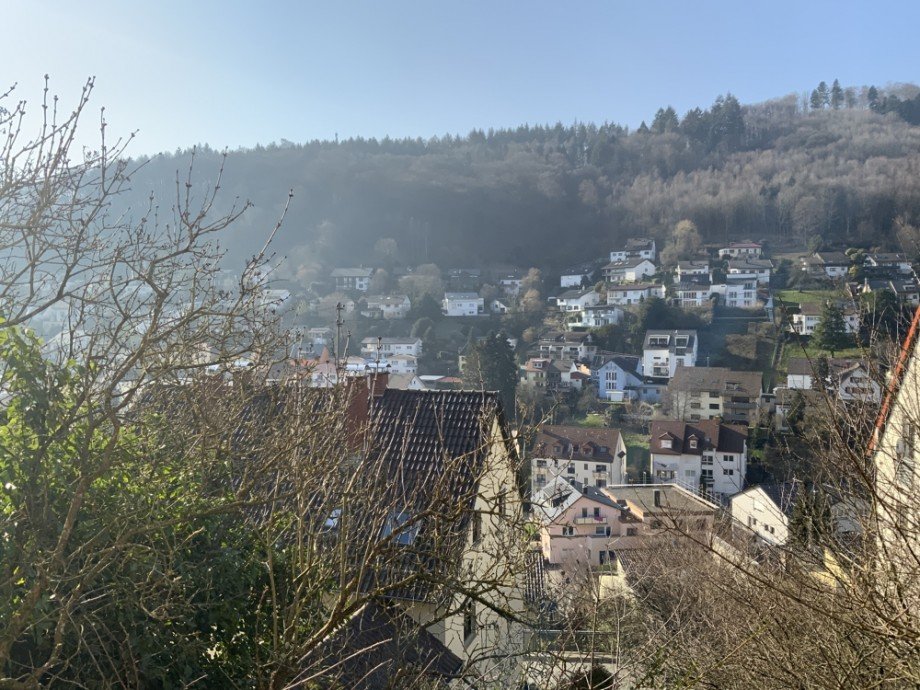 Ausblick vom Freisitz Mehrfamilienhaus Heidelberg / Ziegelhausen