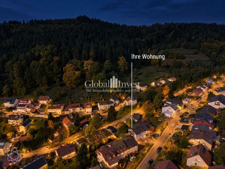 Luftaufnahme Etagenwohnung Heidelberg / Ziegelhausen