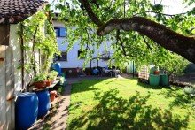 Garten GLOBAL INVEST SINSHEIM | Tolles Einfamilienhaus mit Einliegerwohnung und sch�nem Garten in Neckarelz