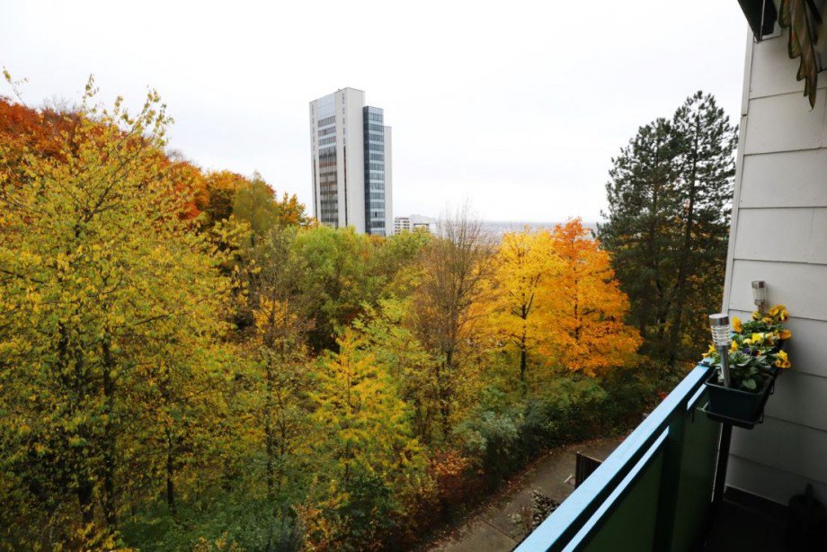 Ausblick.png Etagenwohnung Heidelberg