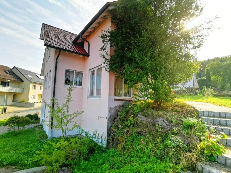 Seitenansicht Einfamilienhaus Billigheim