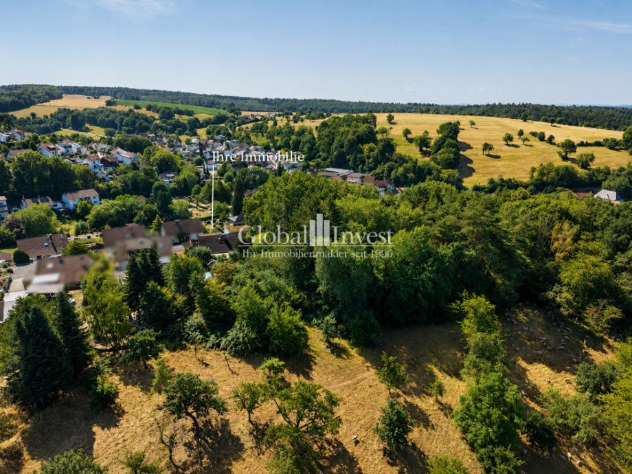 Luftaufnahme Einfamilienhaus Lobbach / Waldwimmersbach