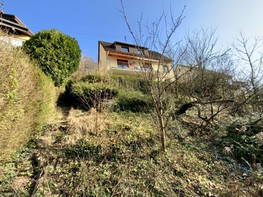 Gartenansicht Mehrfamilienhaus Heidelberg / Ziegelhausen