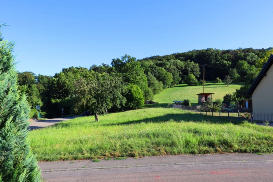 Ausblick Einfamilienhaus Sinsheim / D�hren